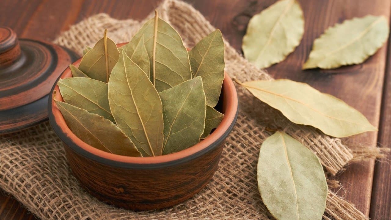 Why do people put bay leaf under pillow at night