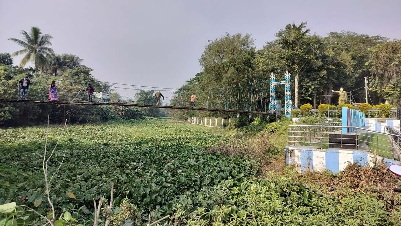 Greenery is the prime attraction for the tourists