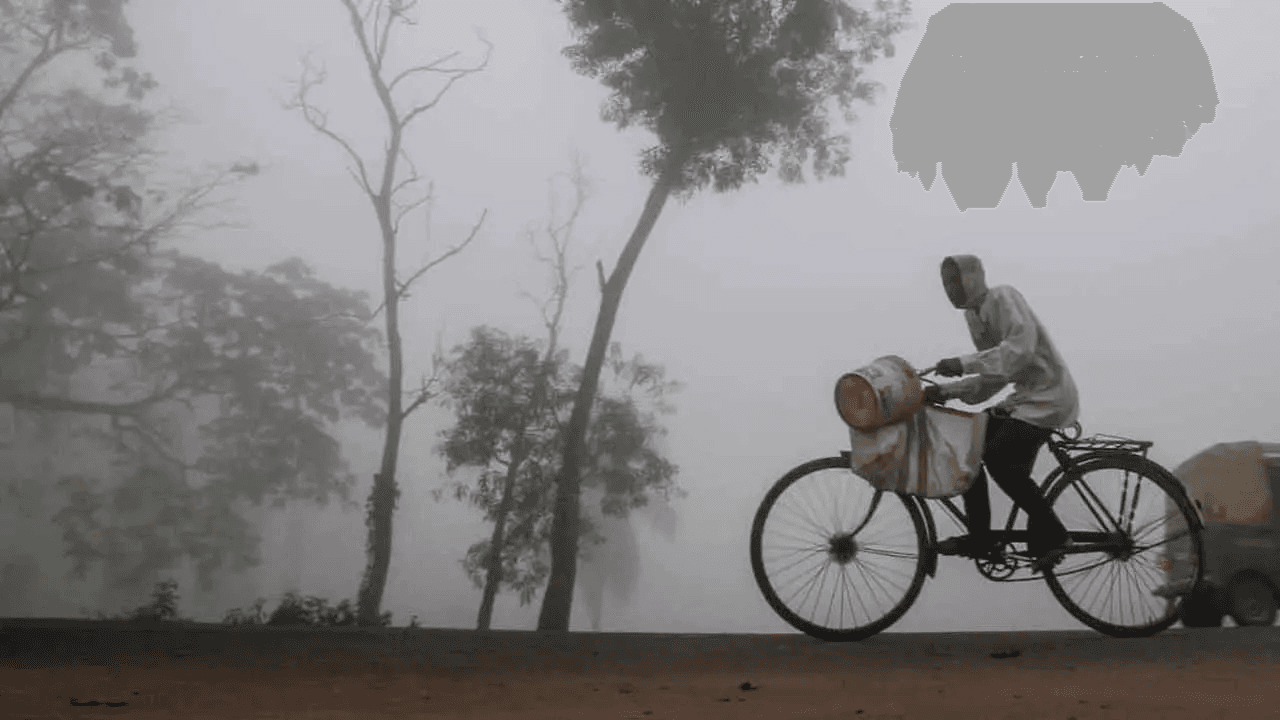 IMD Weather Update Winter Forecast in West Bengal Ahead of New Year Eve