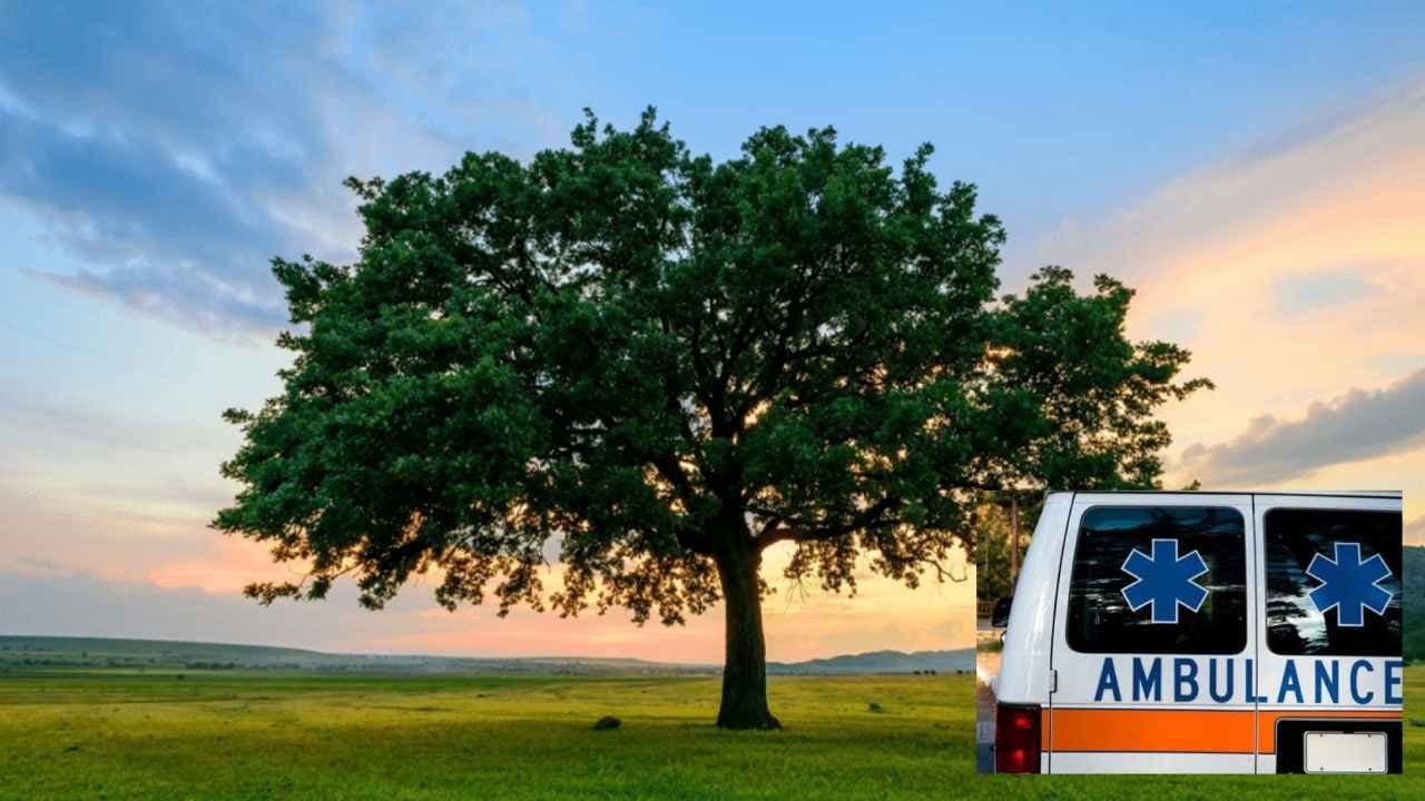 Tree Ambulance service to start in Kolkata