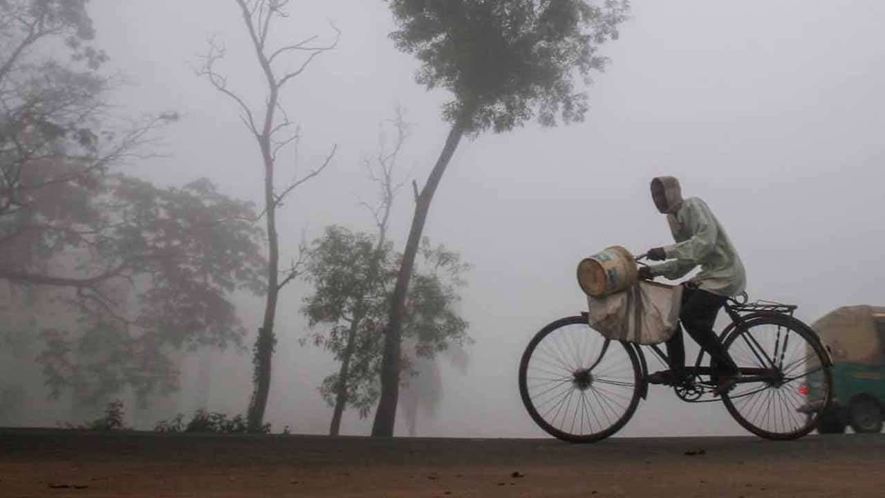 IMD Weather Forecast: West Bengal Weather Forecast On New Year Eve 