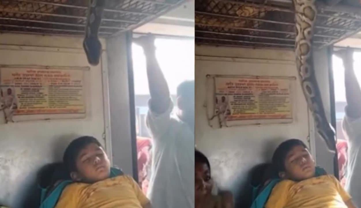 Video Of Python Hanging Over Child On Train Not Real 