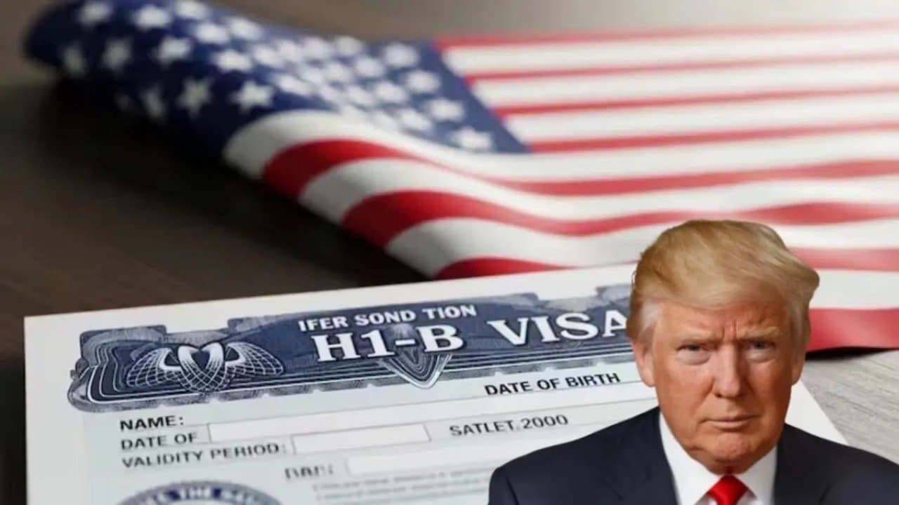 Companies TCS Infosys and Cognizant have bear the burden of 100000 USD H1b visa fee