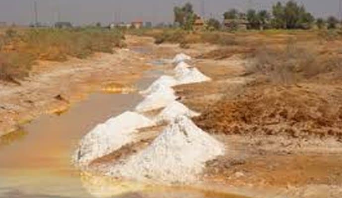 Saltwater Invasion and Lost Farmlands: The Heartbreaking Story of a Child Displaced by Land Grabbing