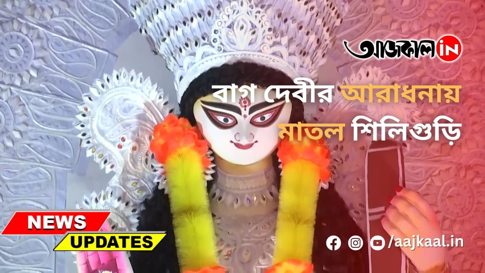বাগ দেবীর আরাধনায় মাতল শিলিগুড়ি