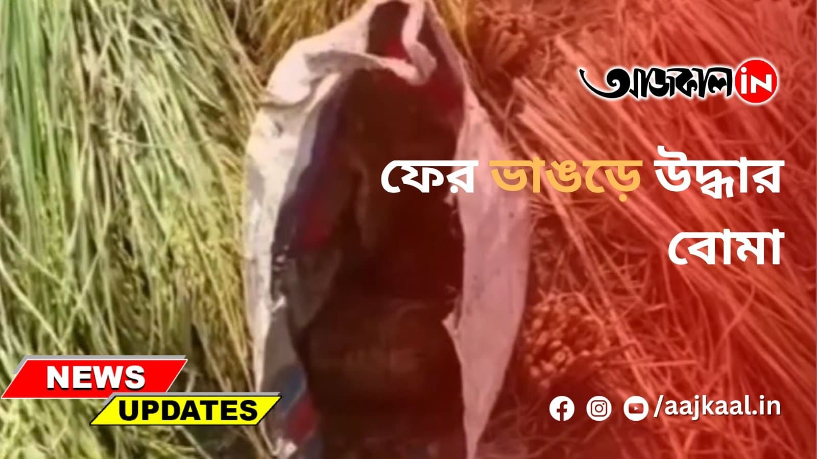 ফের ভাঙড়ে উদ্ধার বোমা
