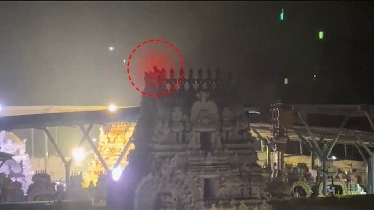 Drunk man climbs Tirupati s Govindarajaswamy Temple demands alcohol to come down