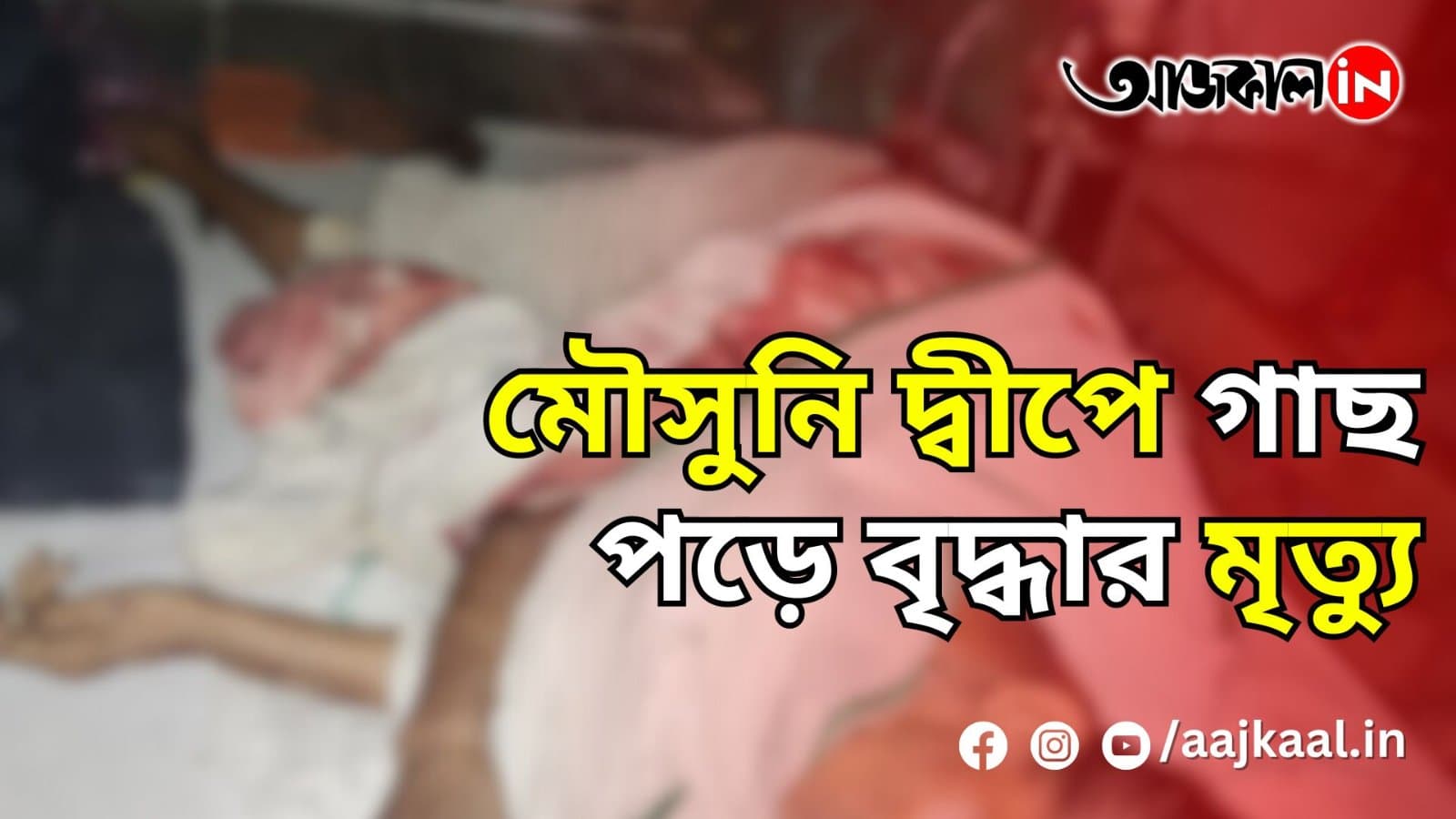 মৌসুনি দ্বীপে গাছ পড়ে বৃদ্ধার মৃত্যু