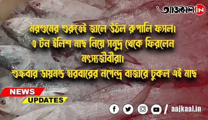 মরশুমের শুরুতেই জালে উঠল রুপালি ফসল।  ৩ টন ইলিশ মাছ নিয়ে সমুদ্র থেকে ফিরলেন মৎস্যজীবীরা।  শুক্রবার ডায়মন্ড হারবারের নগেন্দ্র বাজারে ঢুকল এই মাছ