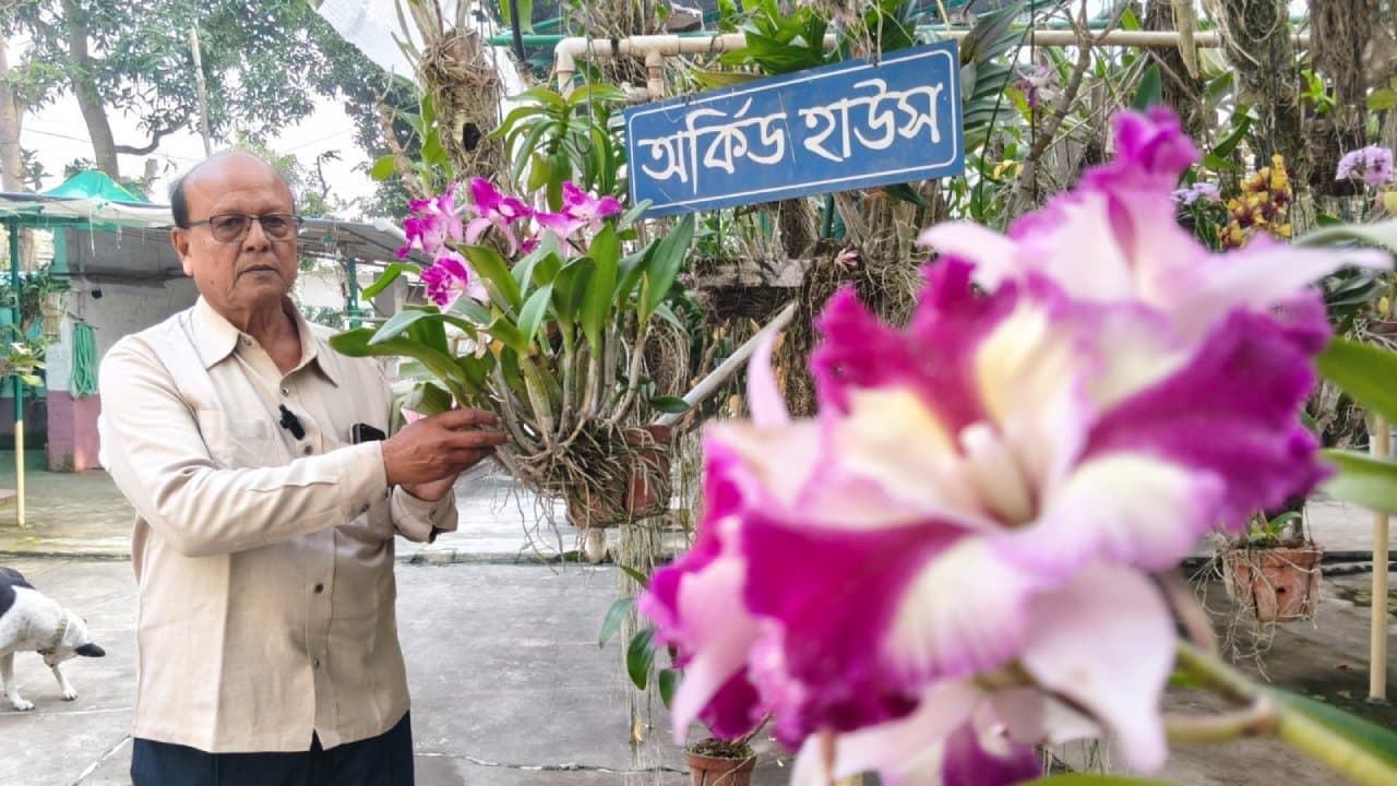 People are mesmerised with the obsession of this teacher with orchids