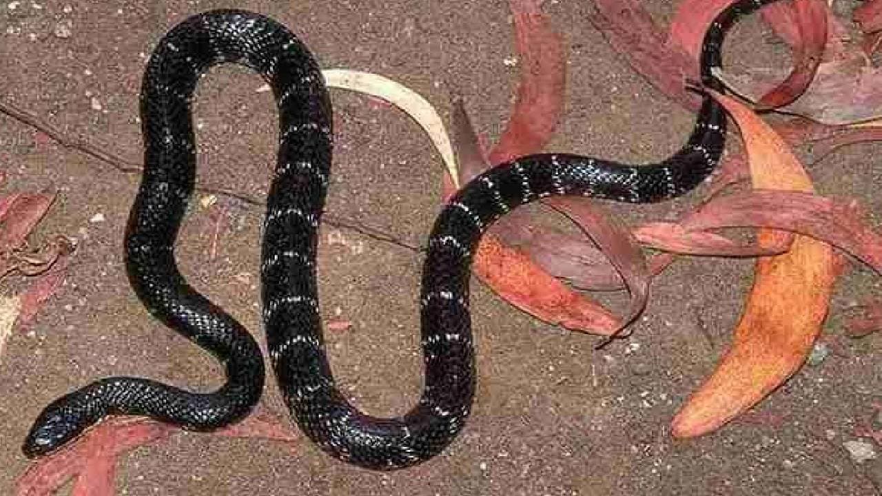 Think ten times before going to this state 