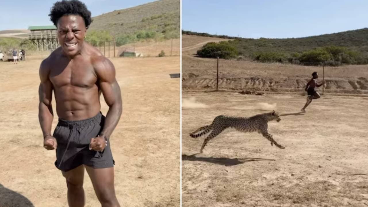 Youtuber IShowSpeed challenges cheetah viral video
