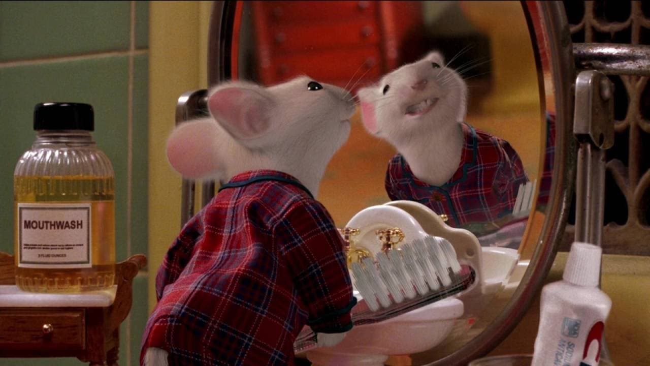 These animals can detect human fear 