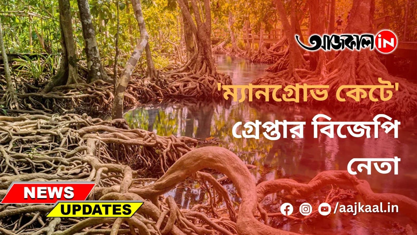'ম্যানগ্রোভ কেটে' গ্রেপ্তার বিজেপি নেতা