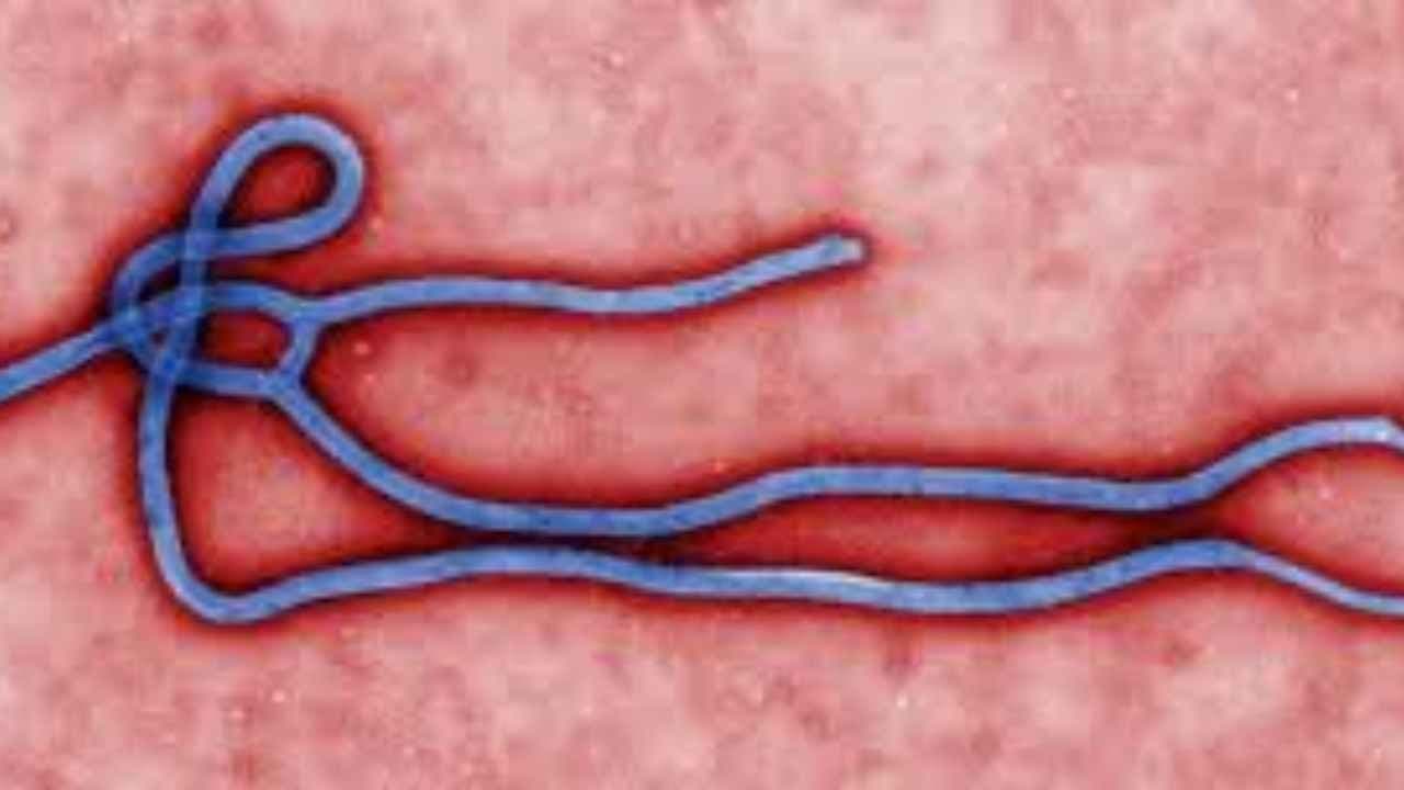 WHO is concerned about Ebola related virus in Ethiopia