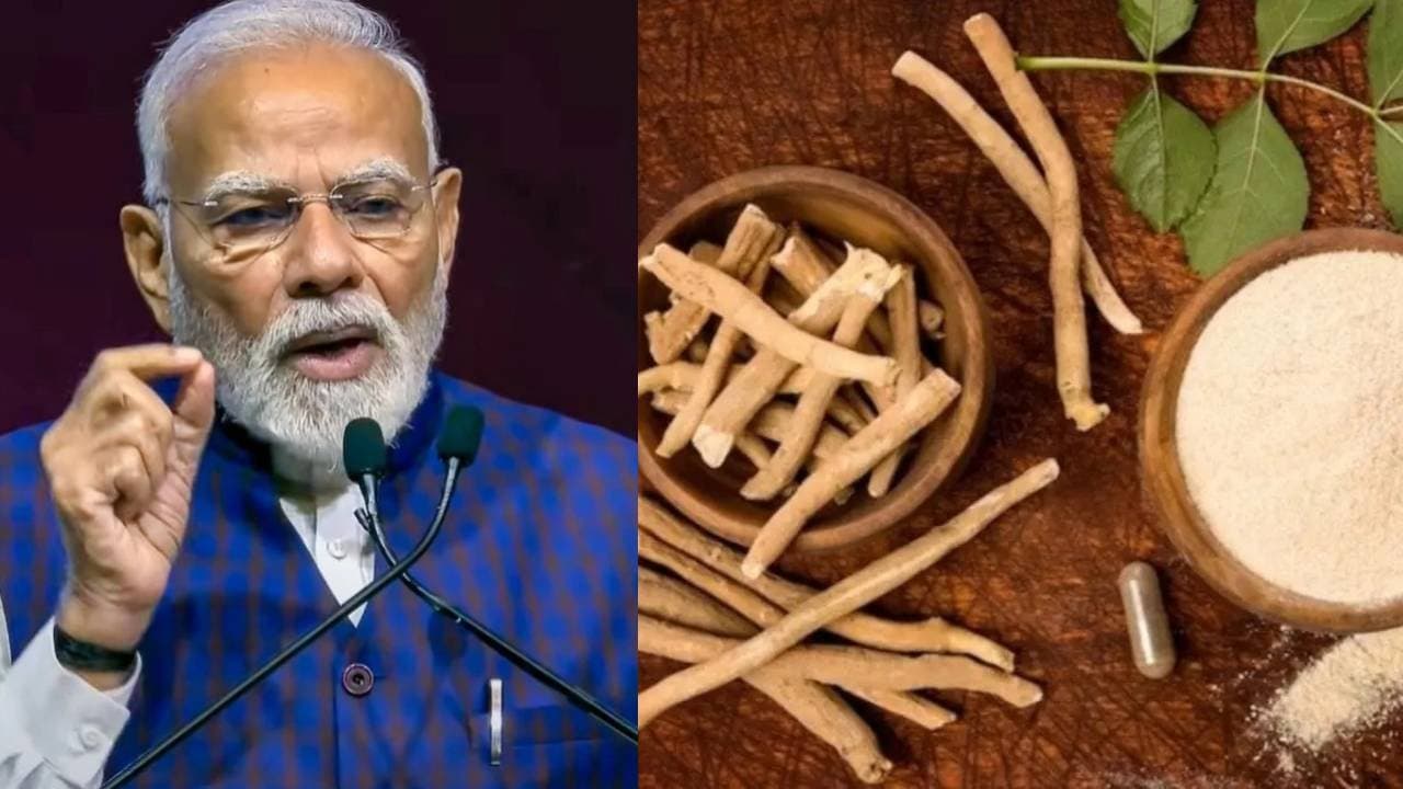 PM Narendra Modi mentioned benefits Ashwagandha know how to include in daily meal
