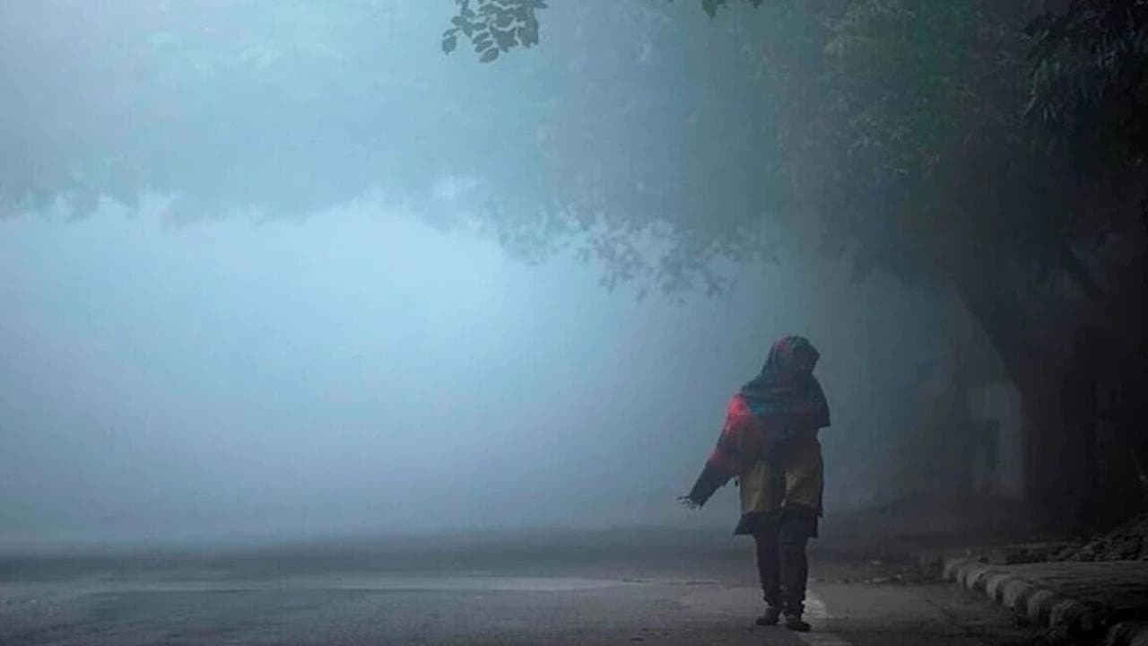 IMD Weather Forecast: Temperature Drops Cold Wave Warning in West Bengal This Week