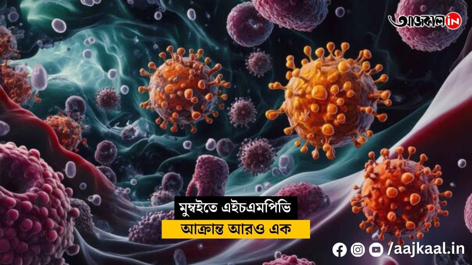 With the HMPV outbreak, will India once again head towards a lockdown vdo