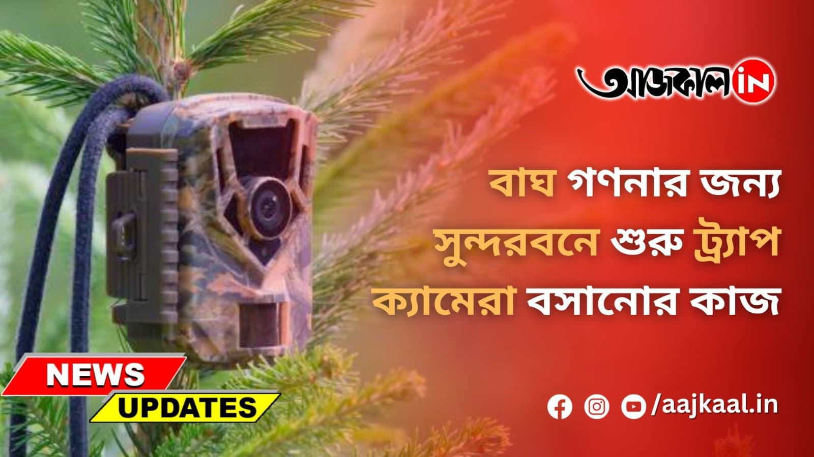বাঘ গণনার জন্য সুন্দরবনে শুরু ট্র্যাপ ক্যামেরা বসানোর কাজ