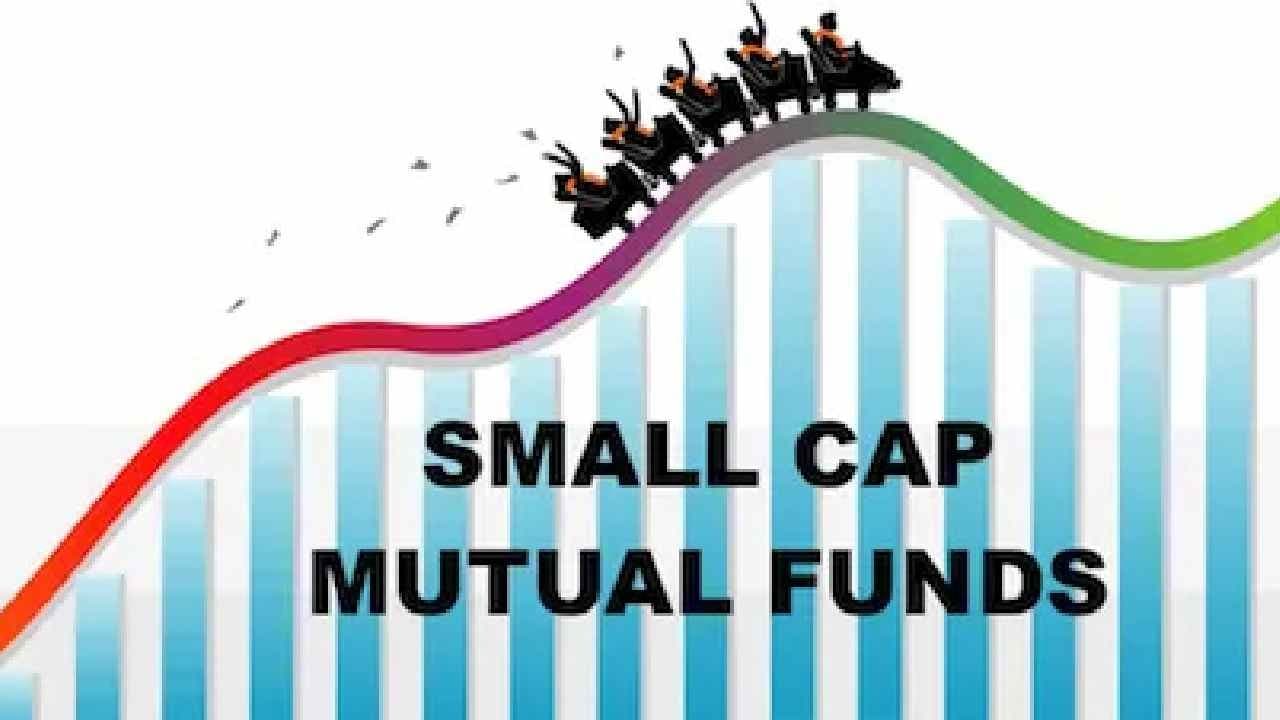 Small cap funds: HDFC Bank Mutual Funds give very good returns