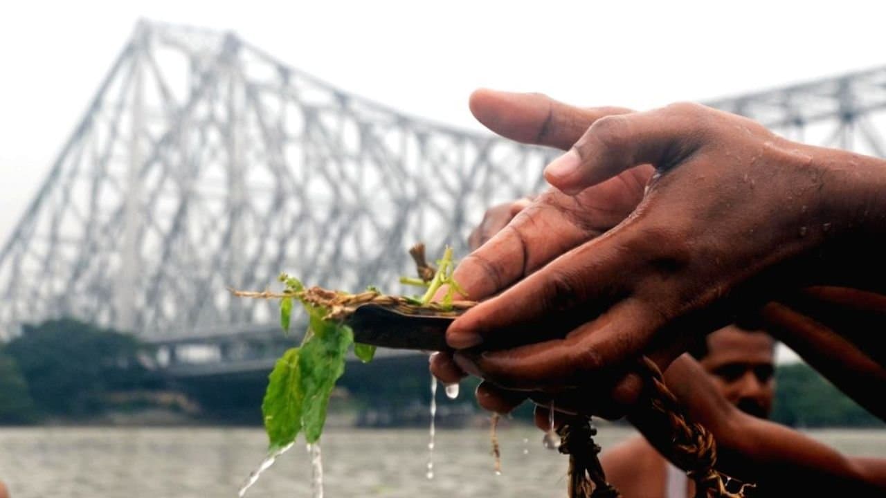 Makar Sankranti 2026 Pitra Dosh Remedies for 14 January