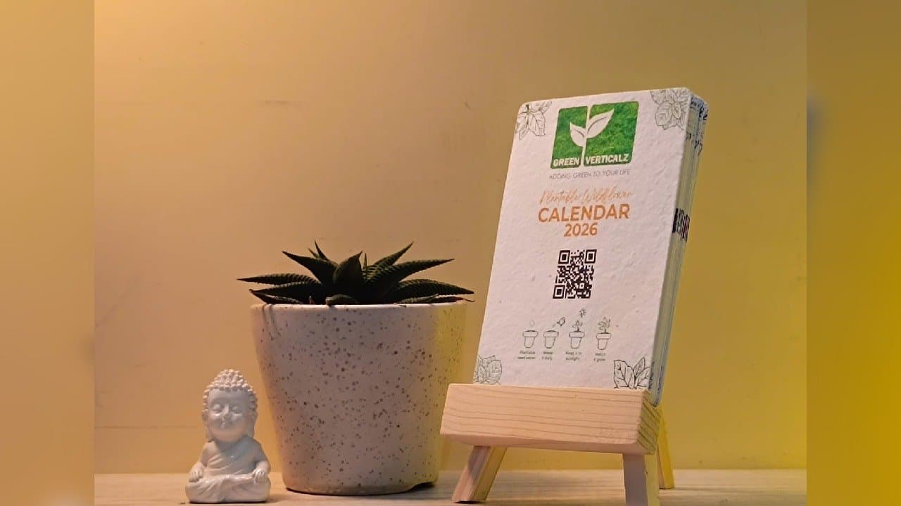 Here about Green Calendar which can grow plant  