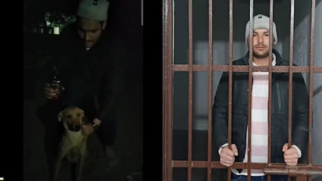 UP Man Arrested For Forcing Dog To Drink Alcohol