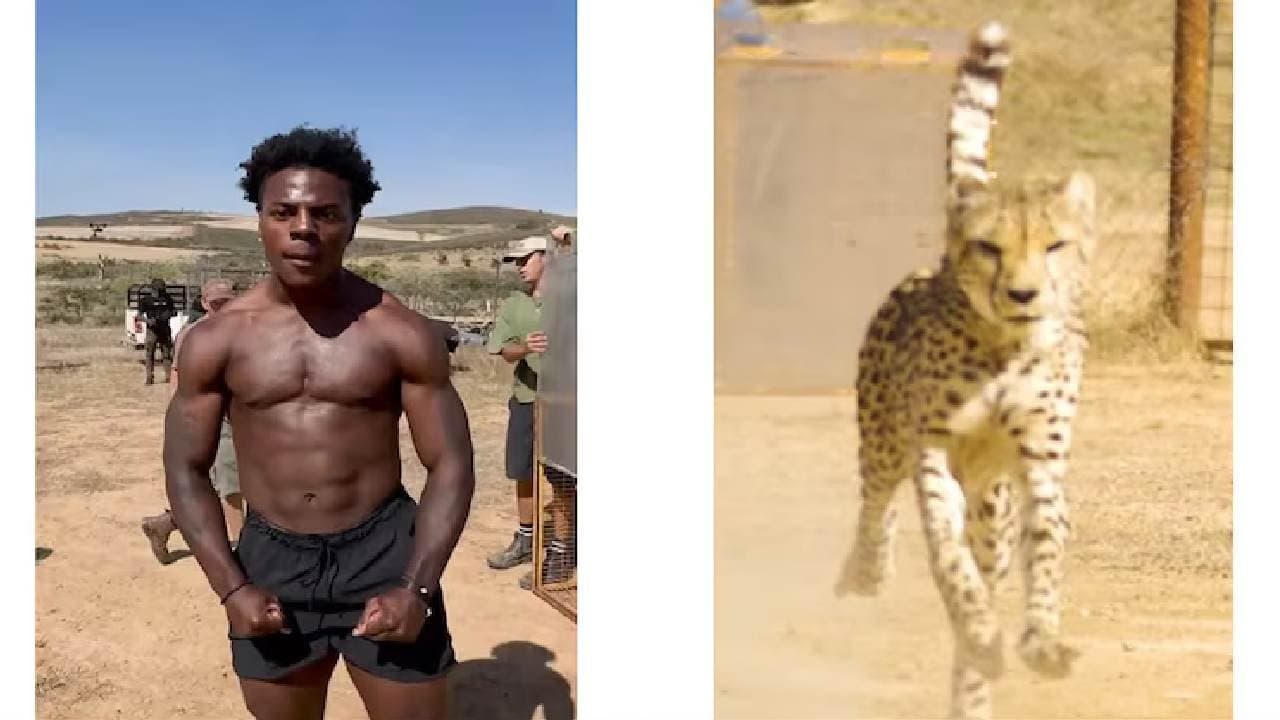 Viral Video: IShowSpeed Races Cheetah During Africa Tour Internet Cant Believe It