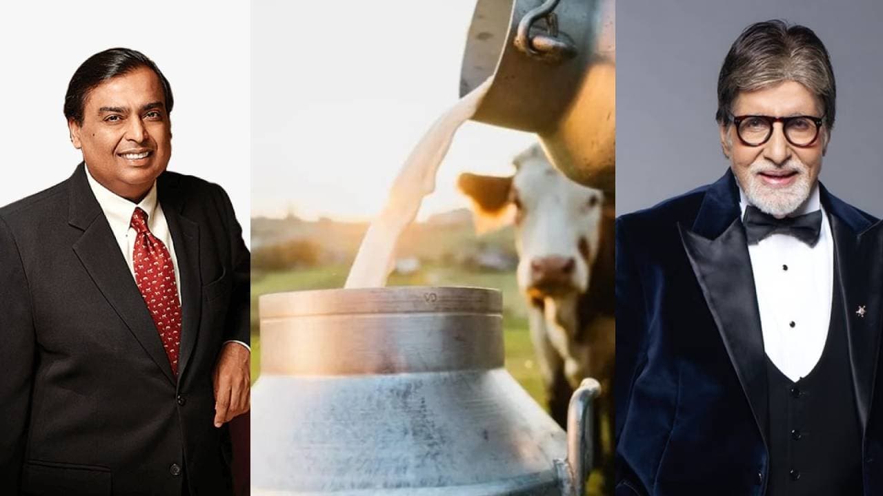 Mukesh Ambani Amitabh Bachchan drink Cows milk comes from this special diary of Pune