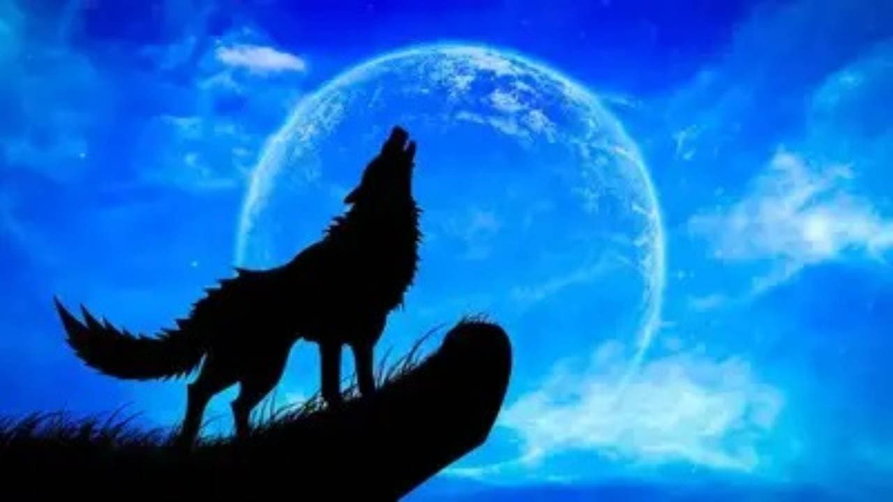 Wolf Moon 2026 year first full moon follow this easy tricks for wish fulfillment 
