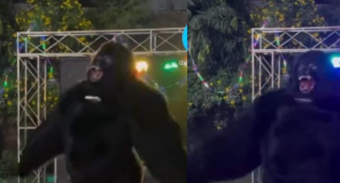 Bride Family Cancels Wedding After Grooms Relative Fails To Bring Dancing Gorilla In Uttar Pradesh