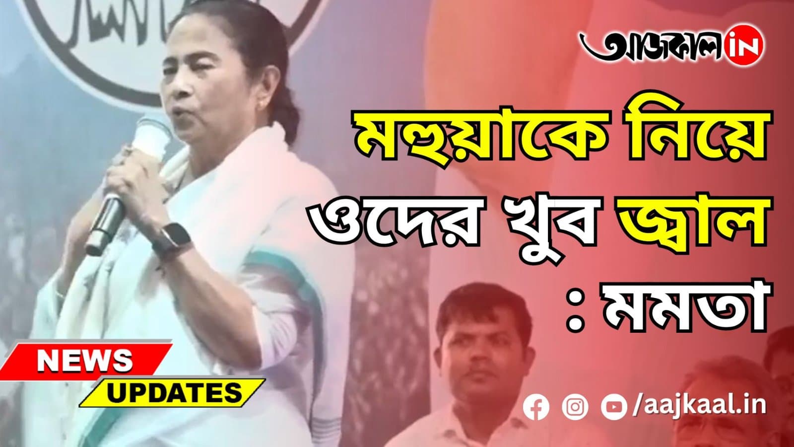 মহুয়াকে নিয়ে ওদের খুব জ্বালা: মমতা