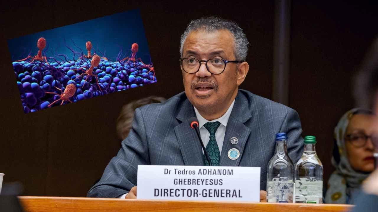 WHO: Antibiotics are failing worldwide makes new problem