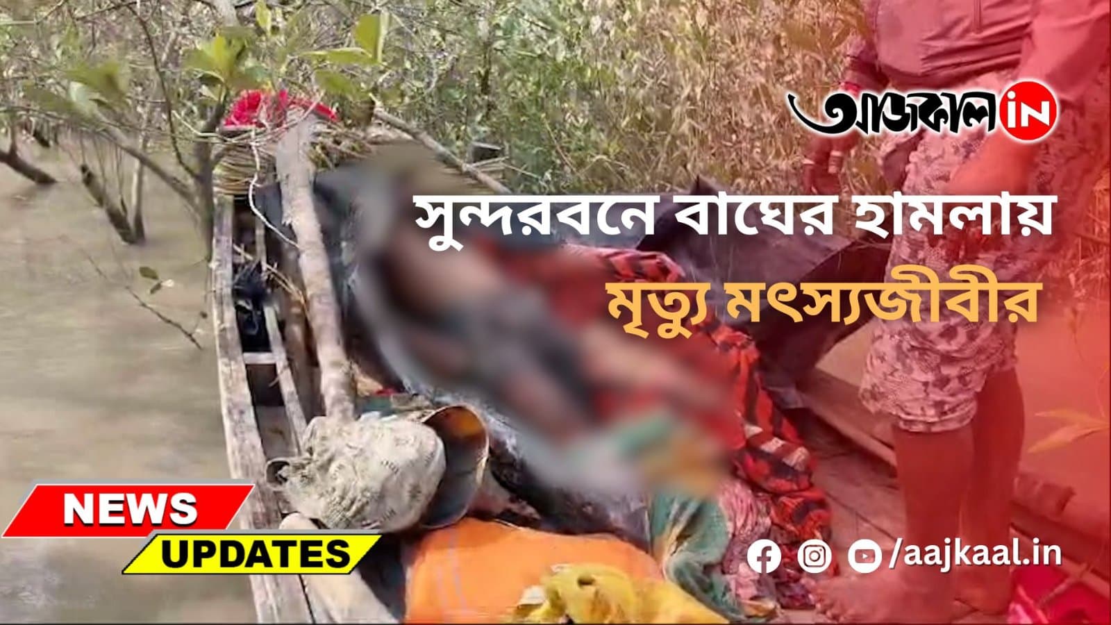  সুন্দরবনে বাঘের হামলায় মৃত্যু মৎস্যজীবীর