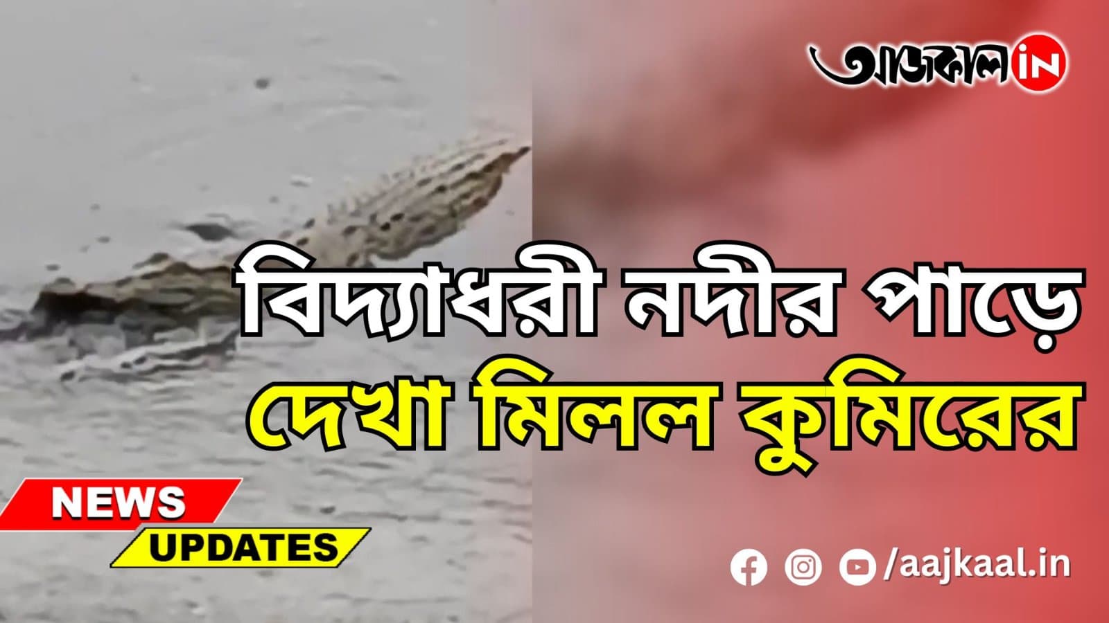 বিদ্যাধরী নদীর পাড়ে দেখা মিলল কুমিরের