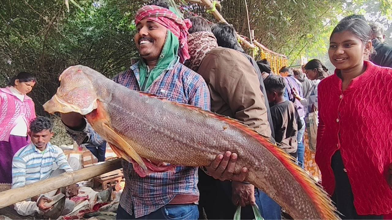 Massive Fish Fair in Kestopur 