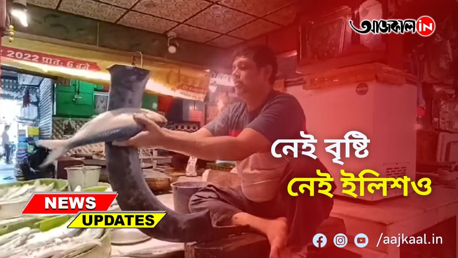 EXCLUSIVE: বর্ষা এলেও দক্ষিণবঙ্গে দেখা নেই বৃষ্টির, দেখা নেই ইলিশেরও। বাজার কেমন? দেখুন
