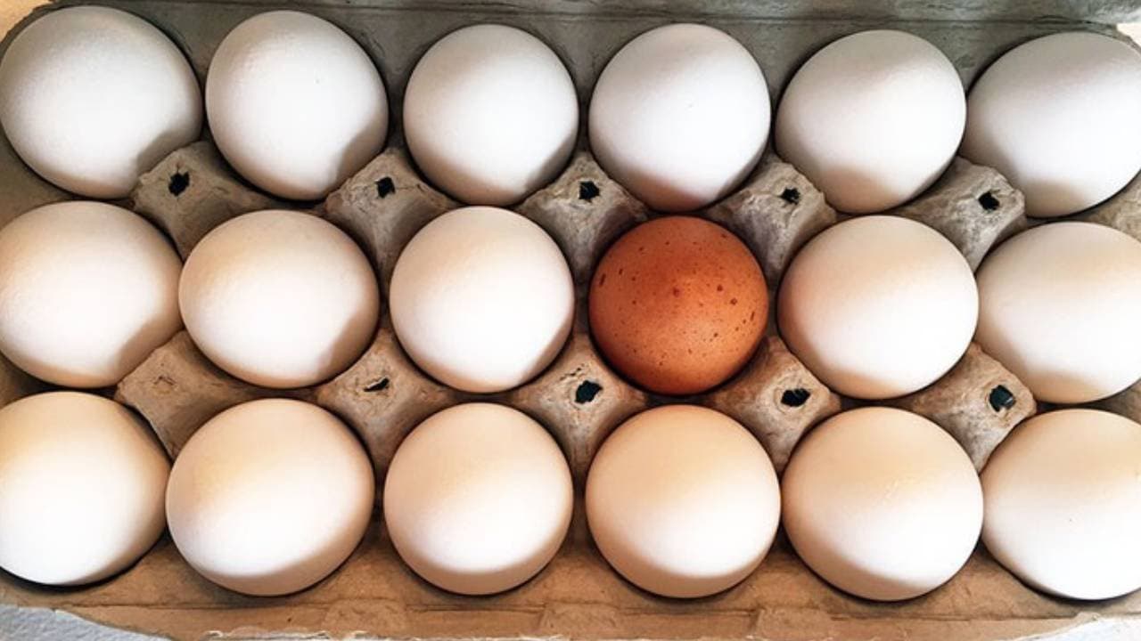 How to identify plastic eggs without breaking them