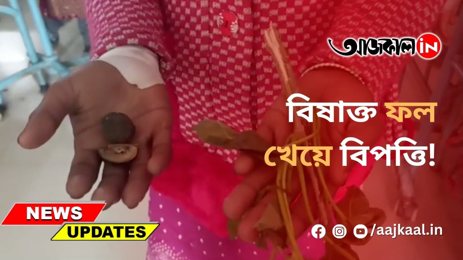 বিষাক্ত ফল খেয়ে বিপত্তি!