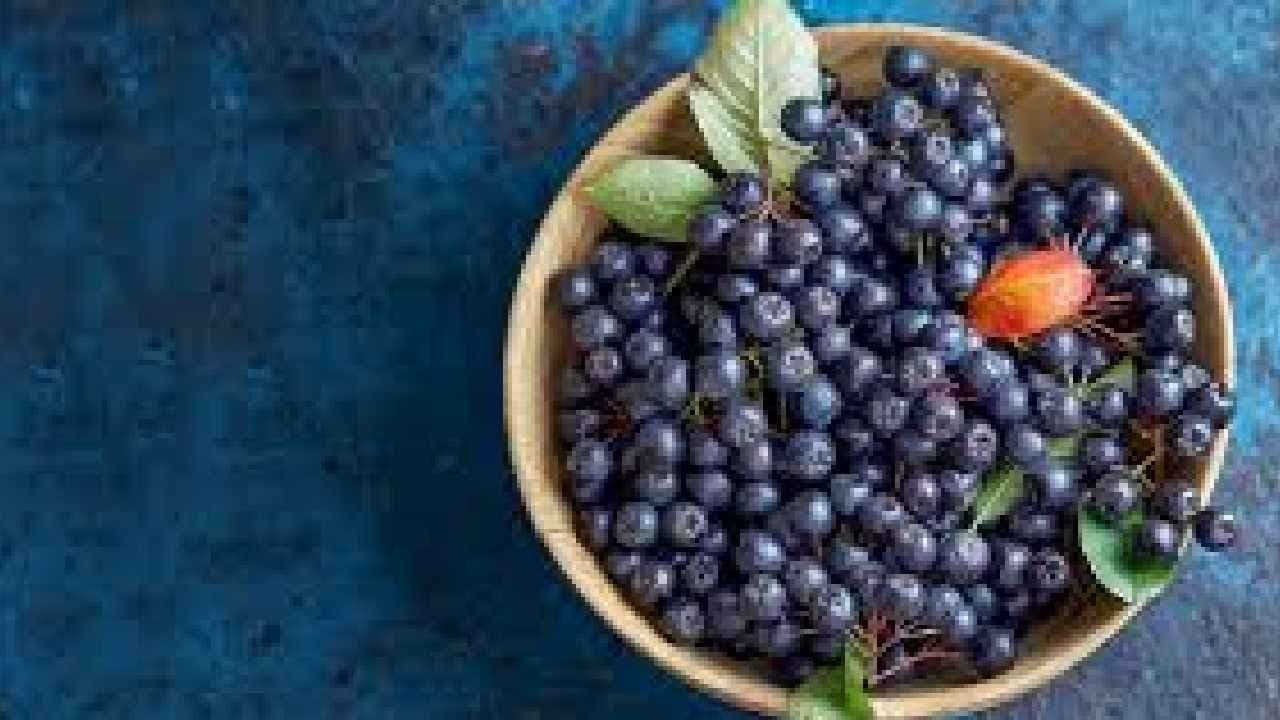 Black Gold: Science behind Aronia berries control Blood Sugar