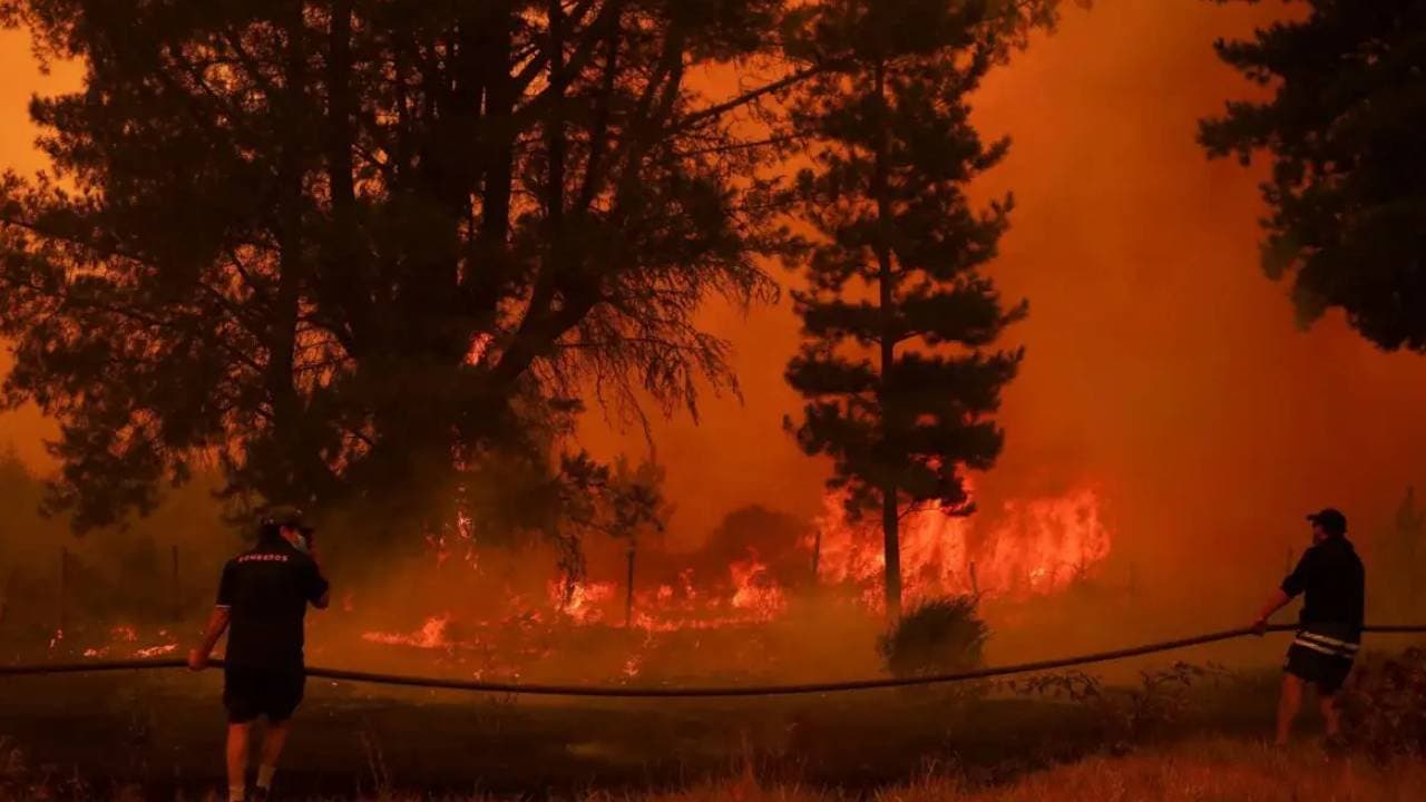 Massive Fires in Chiles Bío Bío region