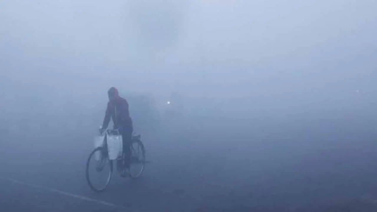 IMD Weather Update districts weather forecast in next days