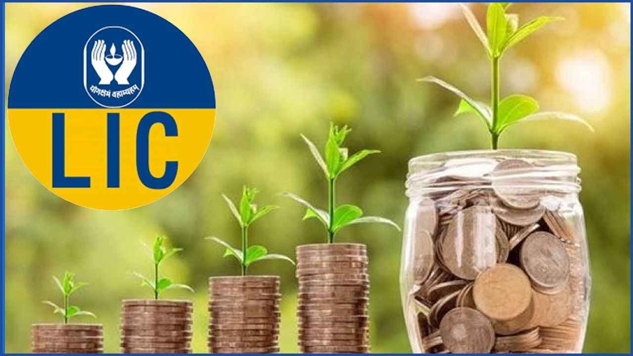 LIC Policy: Share price crossed 1000 crore and make new history