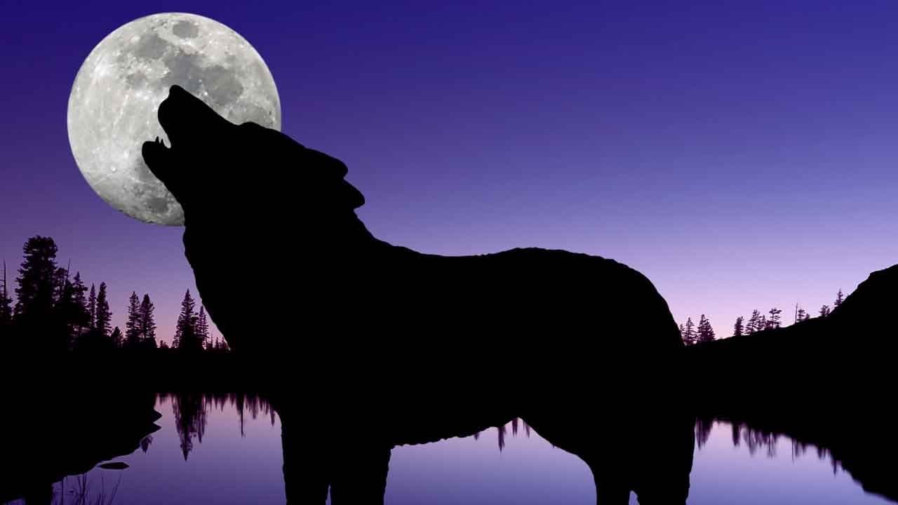 Wolf Supermoon: All set to rise this weekend on January 3