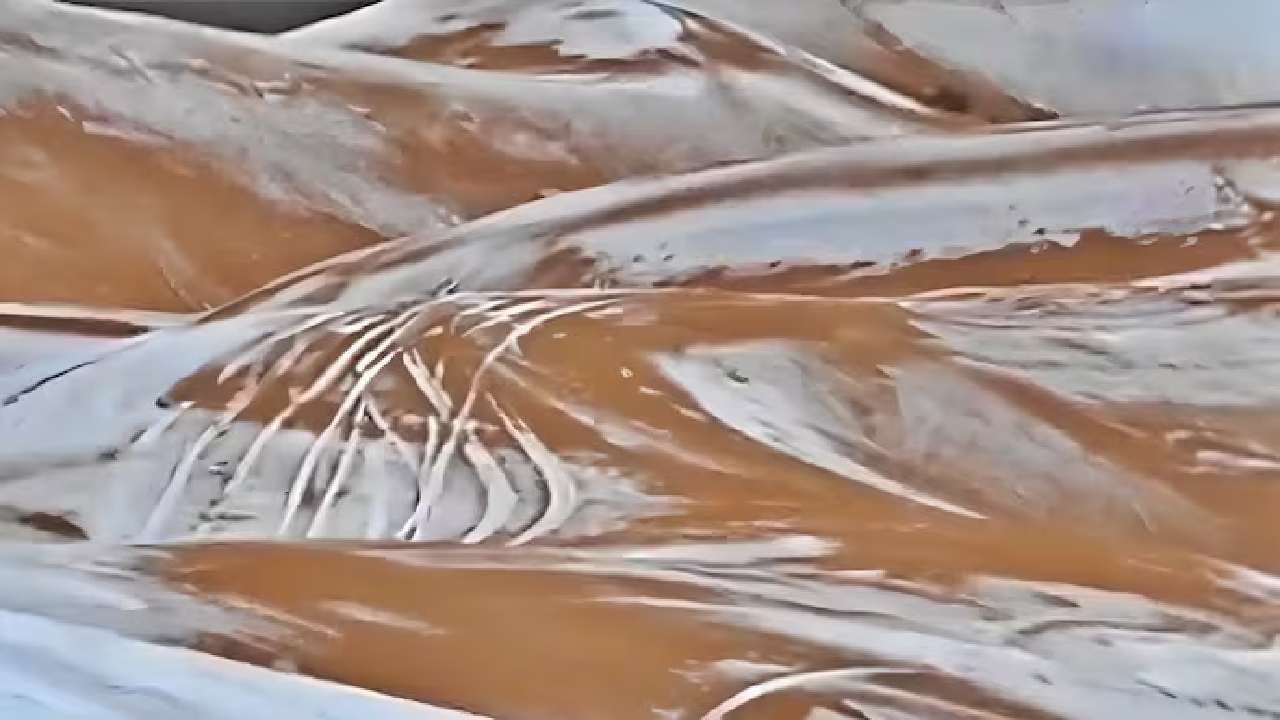 Sahara Desert turns white from rare snowfall: All you need to know