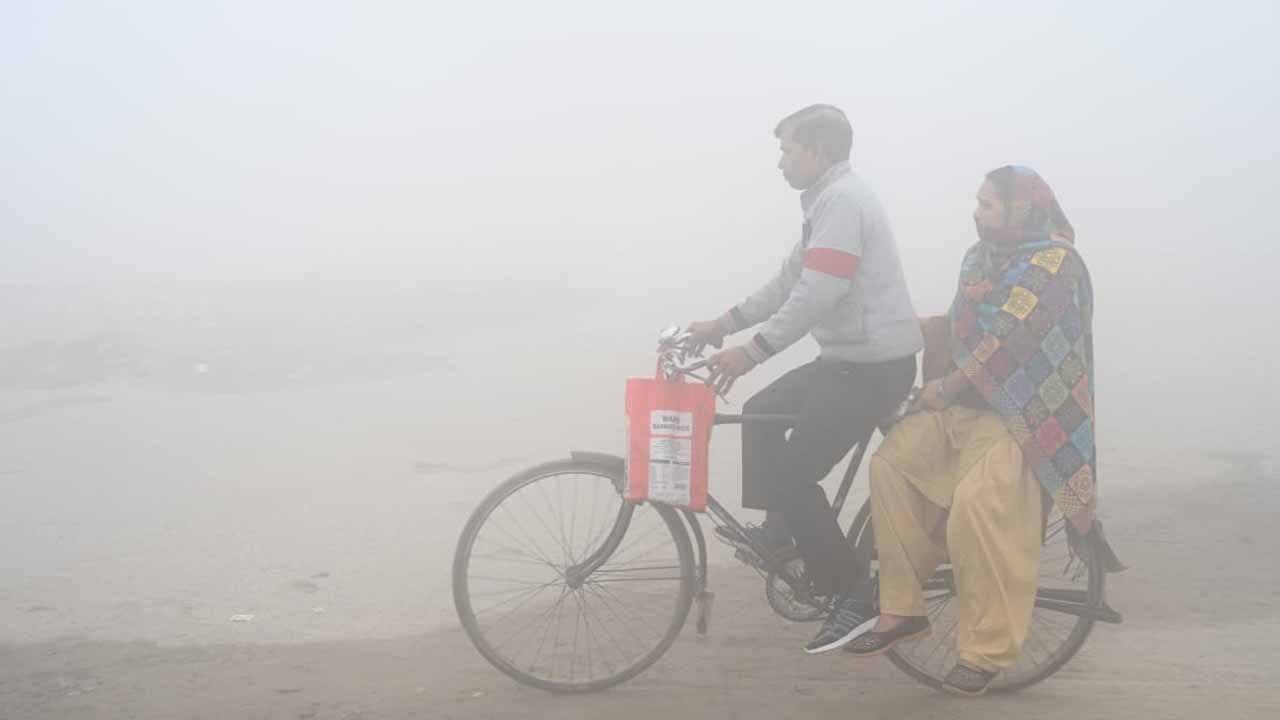 IMD Weather Forecast: Temperature Rises Further Saraswati Puja Weather Update In West Bengal 