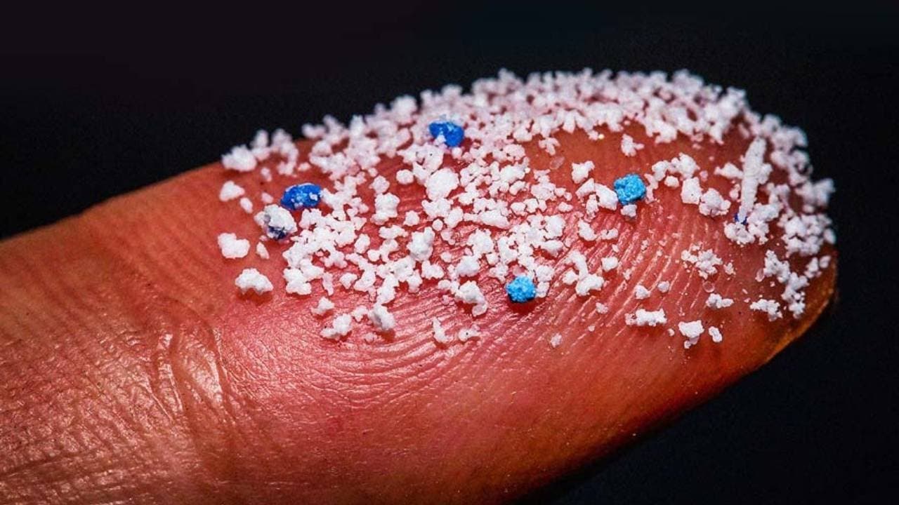 People who drink bottled water everyday can ingest up to 90000 more microplastic particles every year