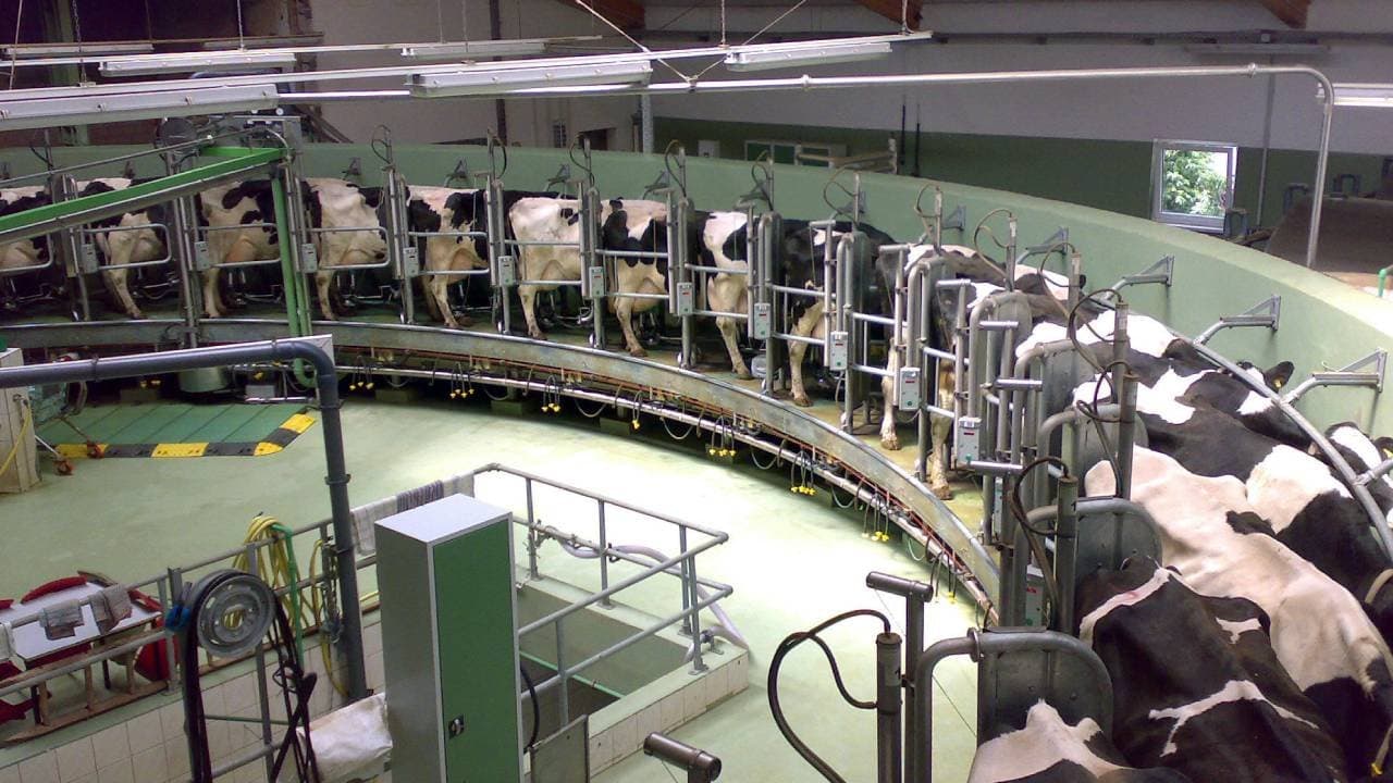 Deep crisis in indian agro eoconomy