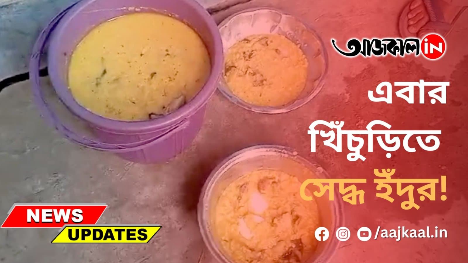 এবার খিঁচুড়িতে সেদ্ধ ইঁদুর!