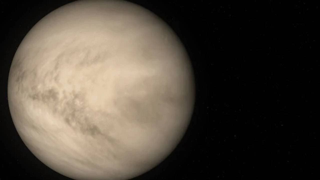 venus transit 2026 in capricorn will bring luck for 4 zodiacs